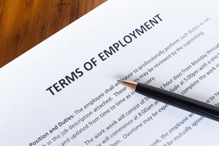 terms of employment papers